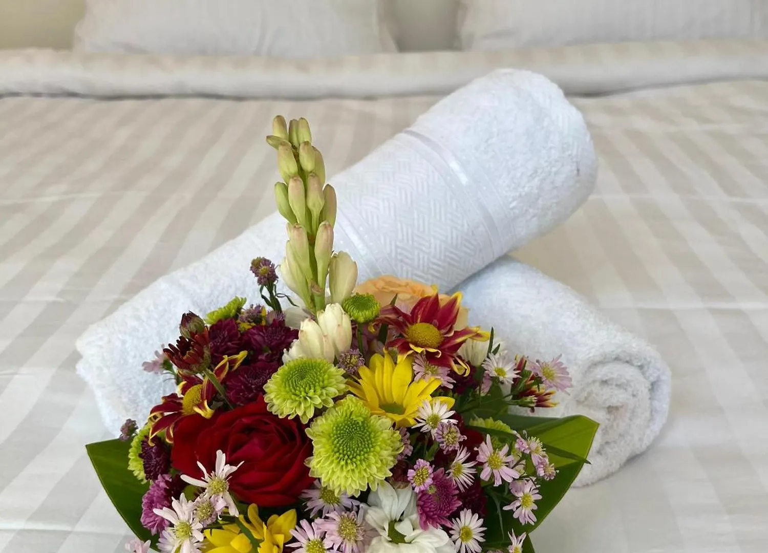 Queen Bee 2Br Private Villa Seminyak   Seminyak (Bali)